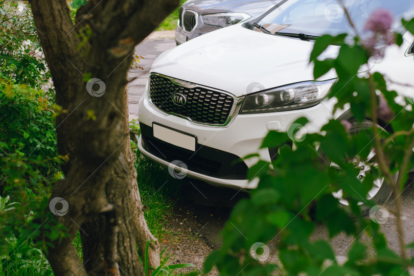 Скачать Автомобиль Kia Carnival фотосток Ozero