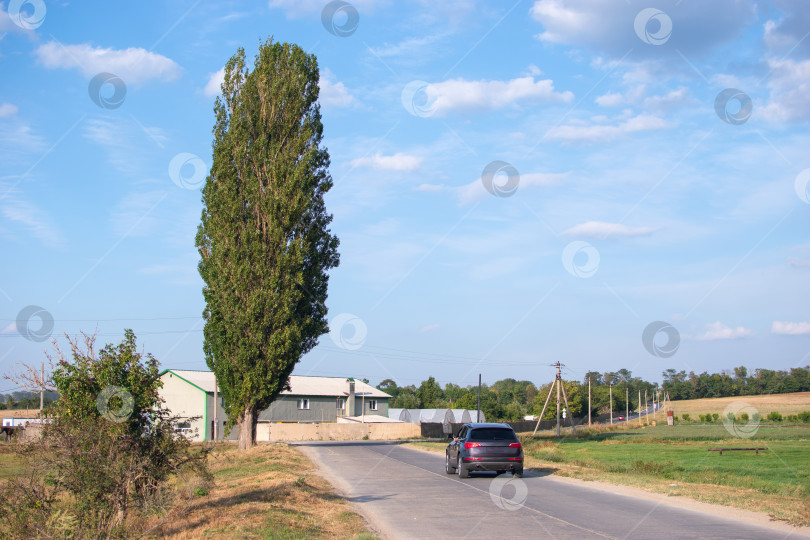 Скачать Автомобиль на дороге фотосток Ozero