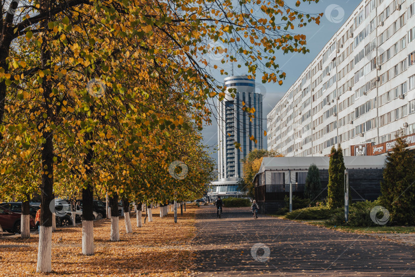 Скачать Осенняя дорога вдоль проспекта Хасана Туфана фотосток Ozero