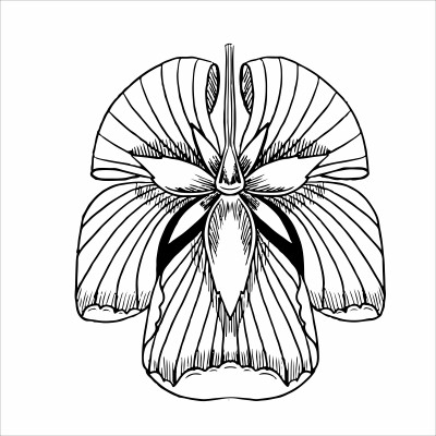 [object Object] undefined