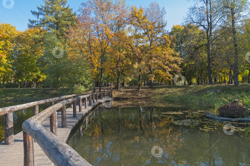 Скачать Городской пруд в солнечный осенний день. фотосток Ozero
