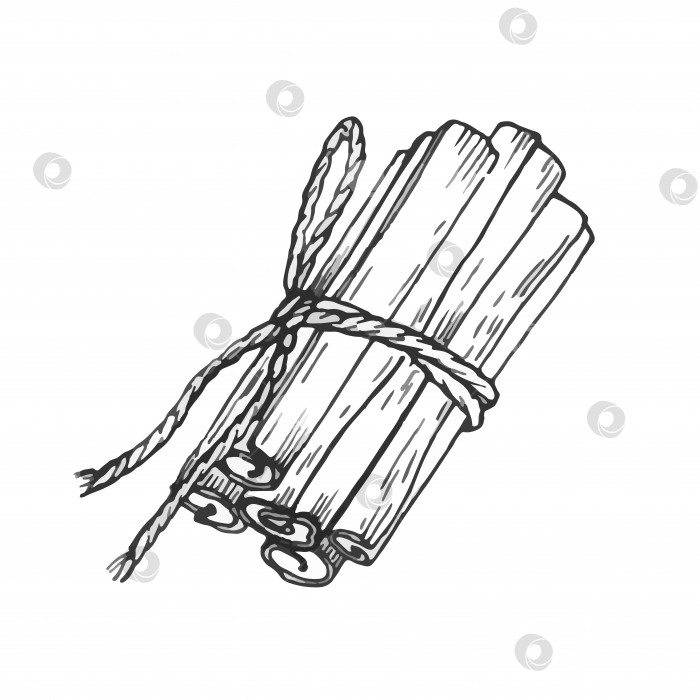 Скачать Векторный рисунок палочки корицы. Нарисованный от руки эскиз. Иллюстрация сезонной еды, выделенная белым цветом. фотосток Ozero