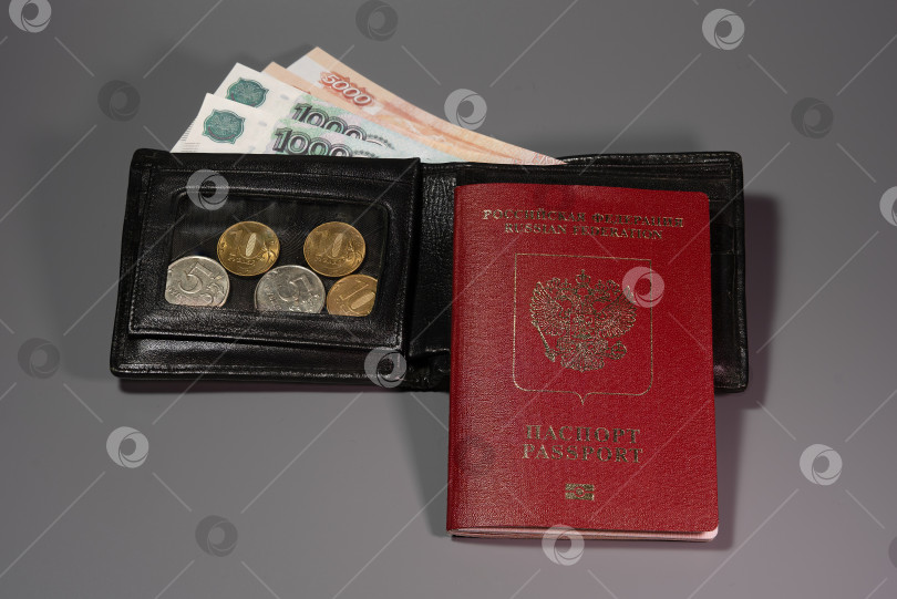 Скачать Российский паспорт с деньгами фотосток Ozero