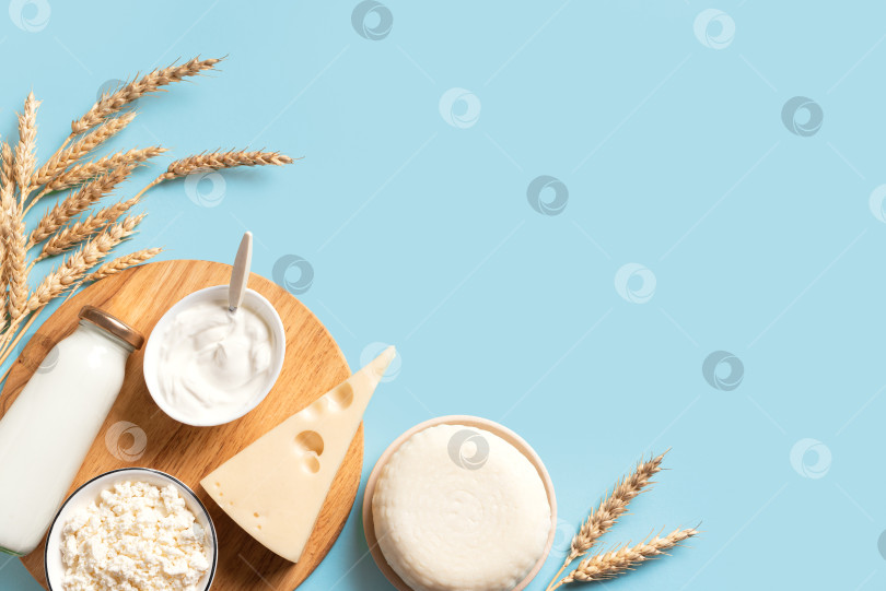 Скачать Различные молочные продукты и пшеничные колосья. С праздником Шавуот. фотосток Ozero