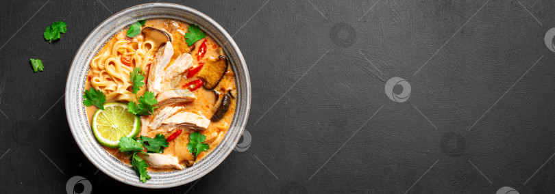 Скачать Острый тайский куриный суп с лапшой. Кхао Сой фотосток Ozero