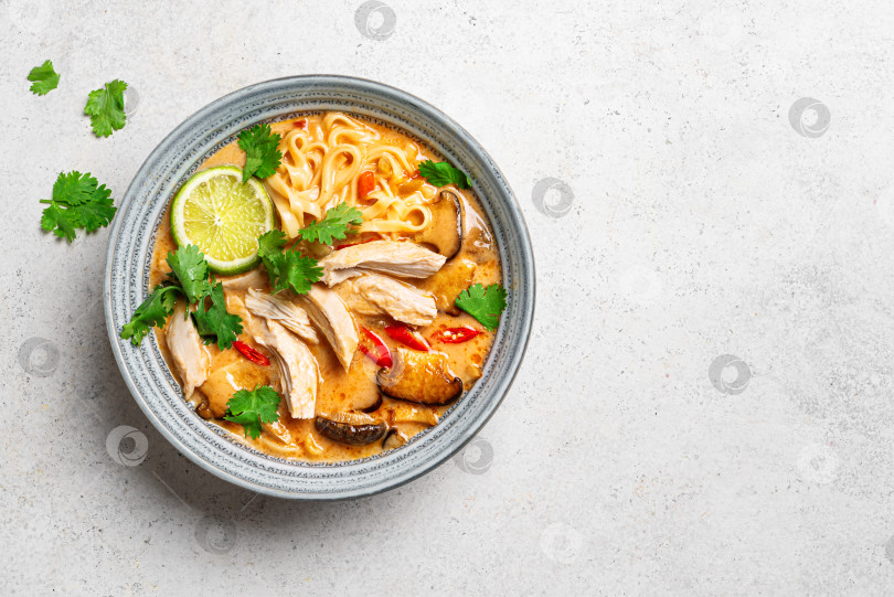 Скачать Острый тайский куриный суп с лапшой. Кхао Сой фотосток Ozero