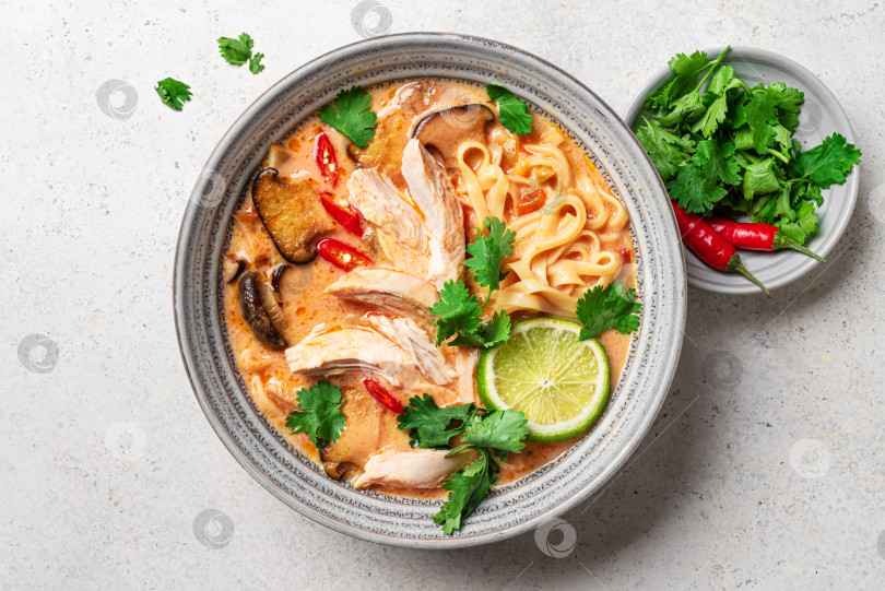 Скачать Острый тайский куриный суп с лапшой. Том Кха Гай. фотосток Ozero