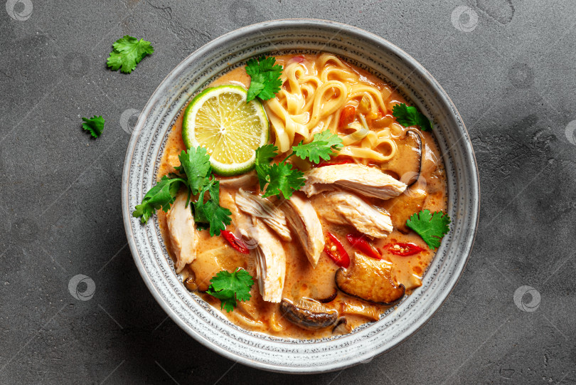 Скачать Острый тайский куриный суп с лапшой. Кхао Сой фотосток Ozero