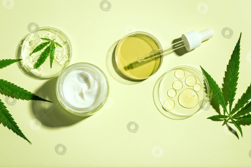 Скачать Конопляные листья каннабиса и масло CBD косметические средства фотосток Ozero