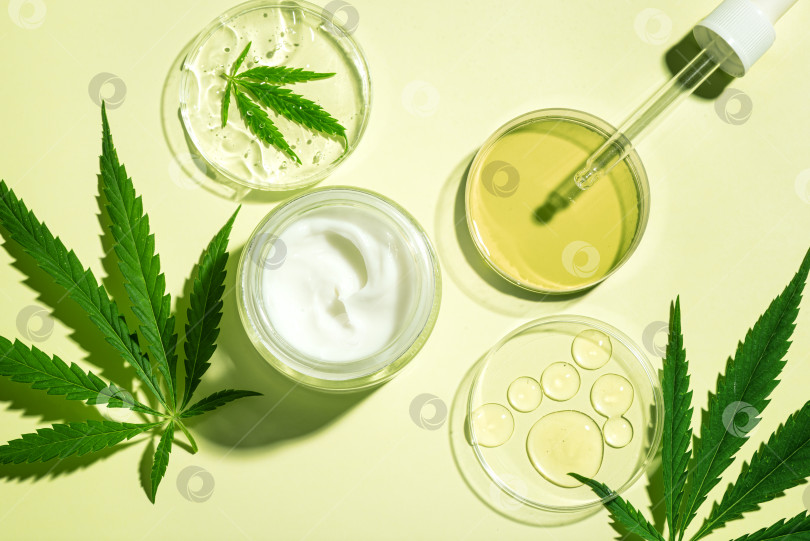 Скачать Конопляные листья каннабиса и масло CBD косметические средства фотосток Ozero