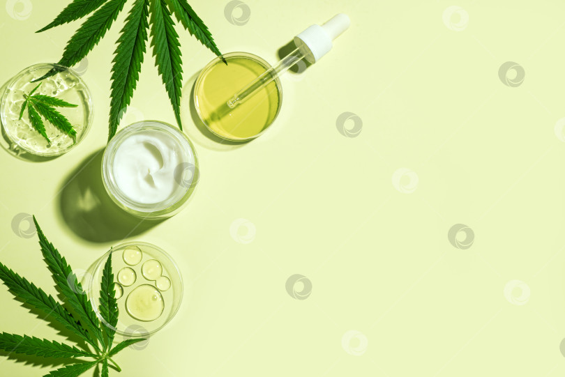 Скачать Конопляные листья каннабиса и масло CBD косметические средства фотосток Ozero