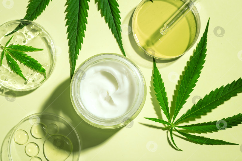 Скачать Косметические средства из конопли листьев каннабиса и масла CBD фотосток Ozero