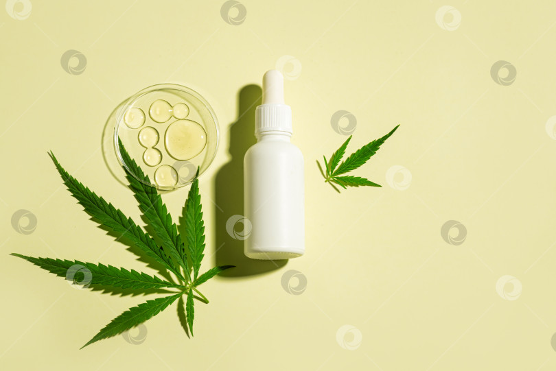 Скачать Конопля листья каннабиса и масло CBD в бутылках и стеклянной посуде фотосток Ozero