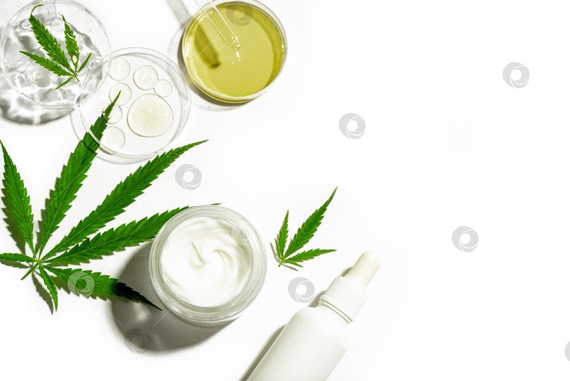 Скачать Конопля листья каннабиса и нефтепродукты cbd фотосток Ozero