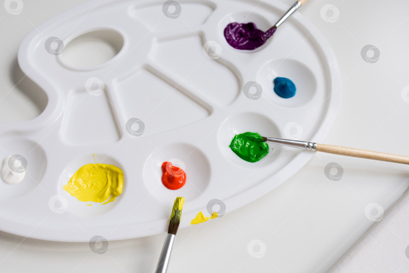 Скачать Красочная палитра красок с кистями на белом фоне фотосток Ozero
