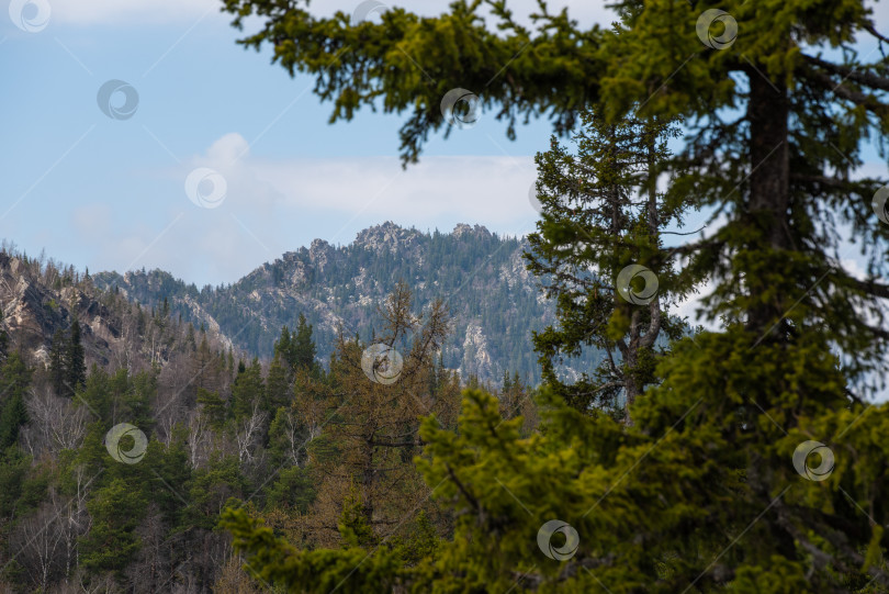 Скачать Весенний пейзаж.  Горы и лес. Весенний пейзаж. Горы и лес фотосток Ozero