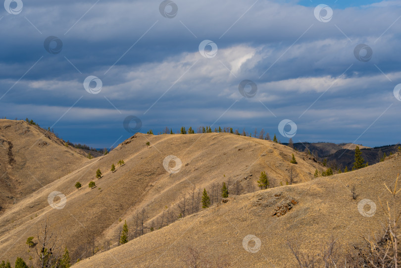 Скачать Весенний пейзаж.  Горы и лес. Весенний пейзаж. Горы и лес фотосток Ozero