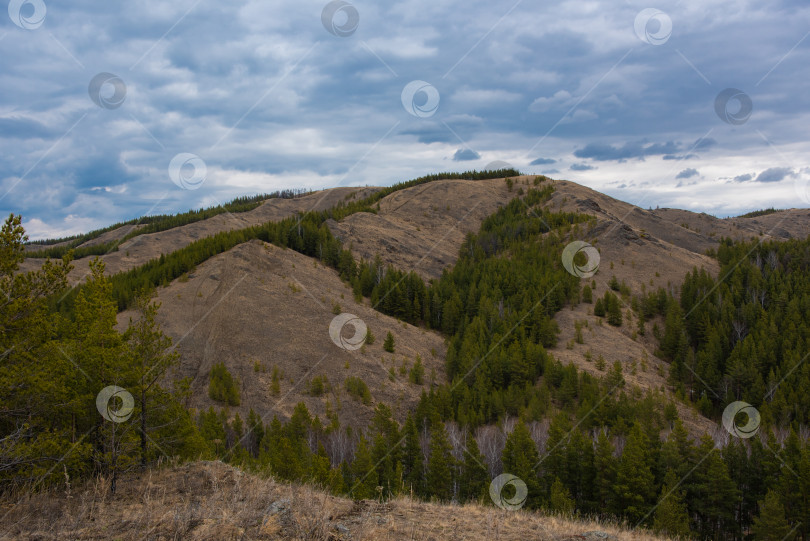Скачать Весенний пейзаж.  Горы и лес. Весенний пейзаж. Горы и лес фотосток Ozero