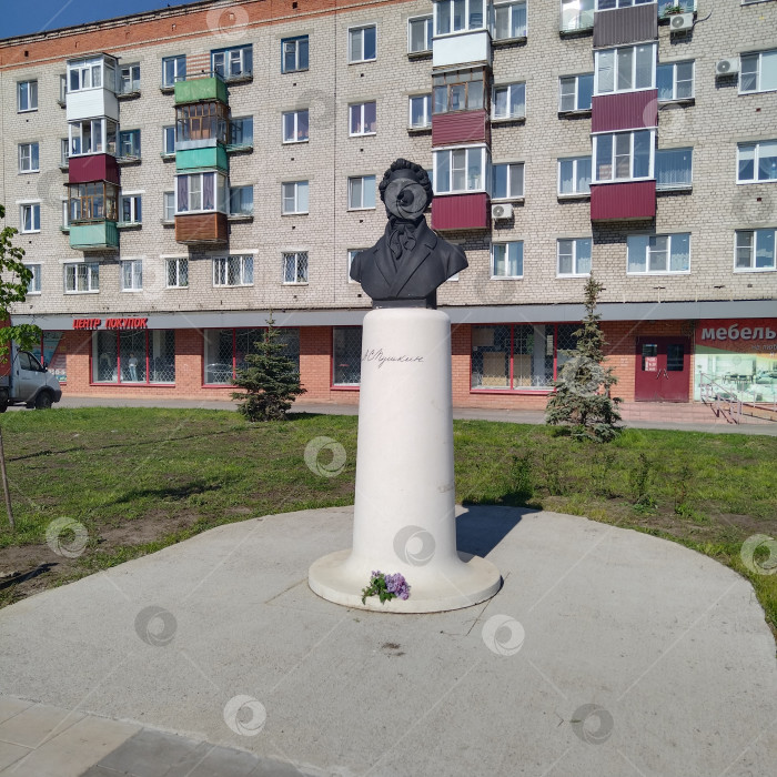 Скачать Памятник Пушкину. фотосток Ozero