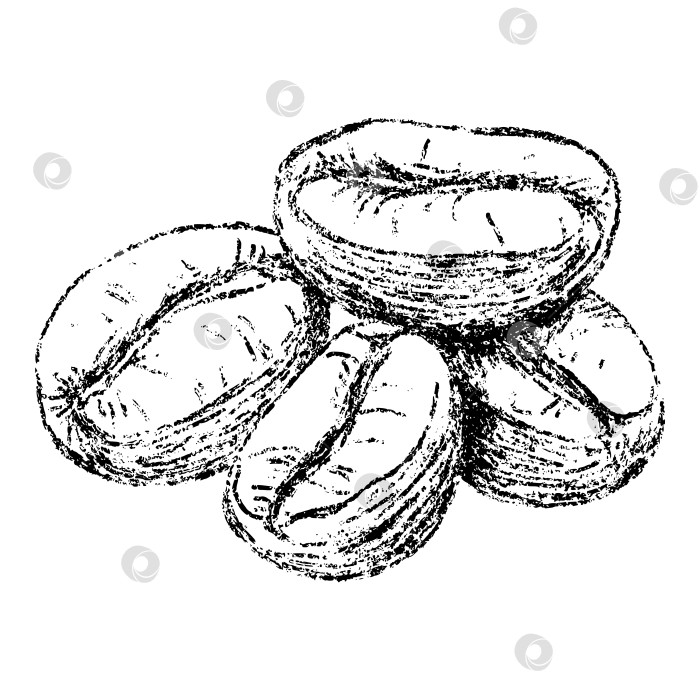 Скачать Нарисуйте карандашом ароматную иллюстрацию пряных кофейных зерен. Нарисованные от руки каракули-приправа из тропических растений, веганская еда, ароматная и ароматно пахнущая. Элемент векторного дизайна с текстурой карандаша для этикетки, упаковки, бирки. фотосток Ozero