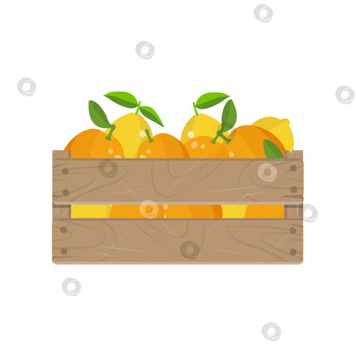 Скачать Деревянная коробка с фруктами из лимона и апельсина фотосток Ozero