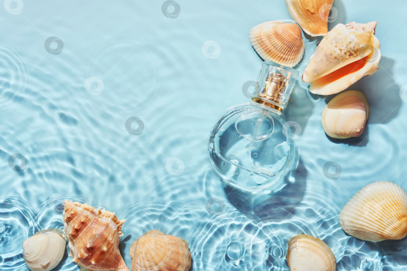 Скачать Стеклянный флакон духов и морские раковины на фоне брызг воды. Концепция летнего морского аромата фотосток Ozero