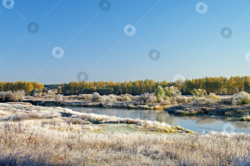 Скачать Солнечное октябрьское утро на берегу реки. фотосток Ozero