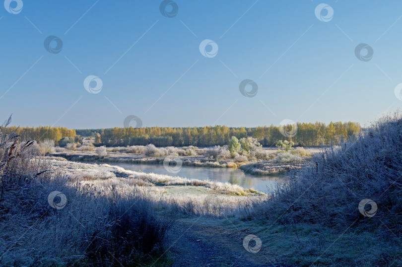 Скачать Солнечное октябрьское утро на берегу реки. фотосток Ozero
