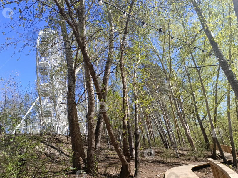 Скачать Колесо обозрения в ЦПКиО. фотосток Ozero