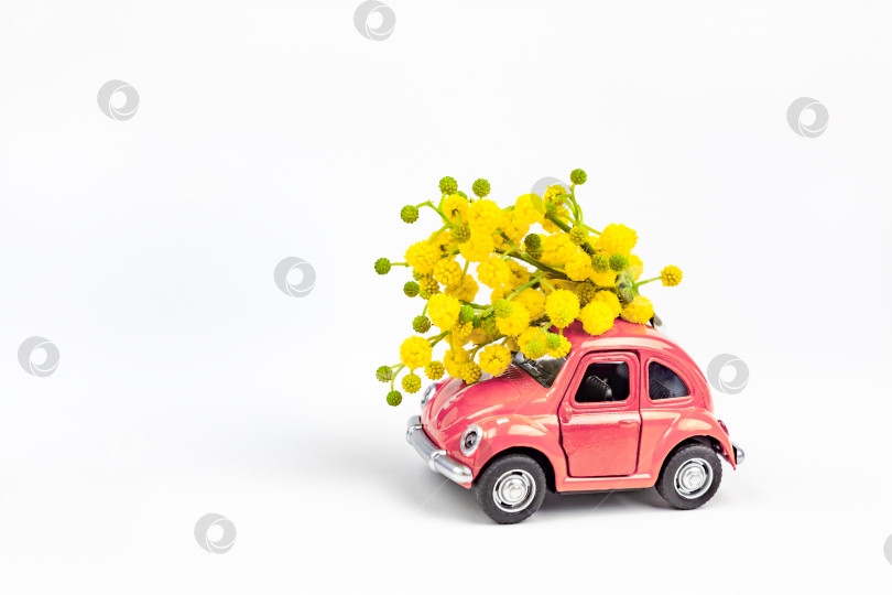 Скачать Игрушечная модель автомобиля, доставляющая букет цветов мимозы фотосток Ozero