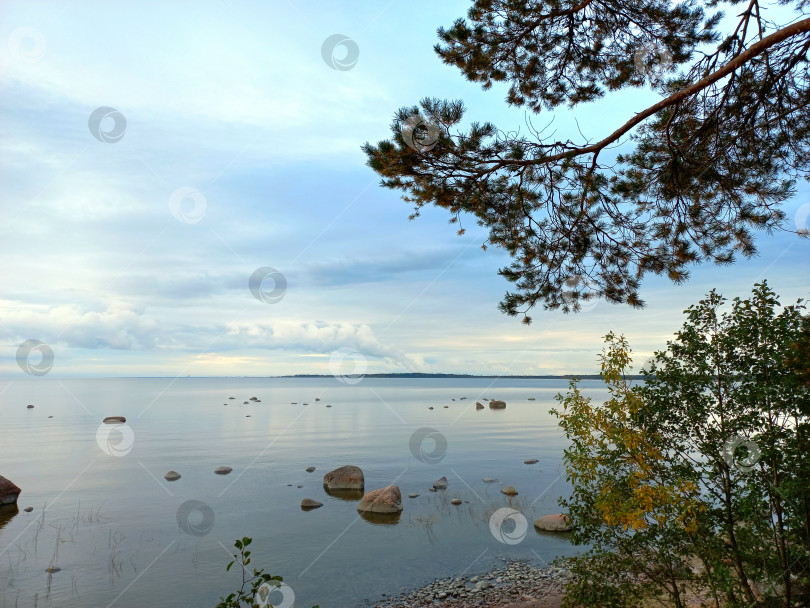 Скачать Вечерний пейзаж, на берегу Финского залива фотосток Ozero