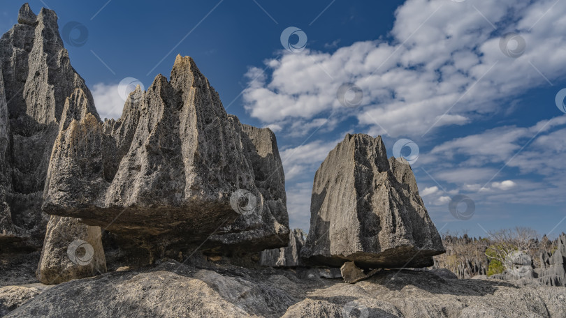 Скачать Уникальные карстовые скалы на фоне голубого неба и облаков. фотосток Ozero