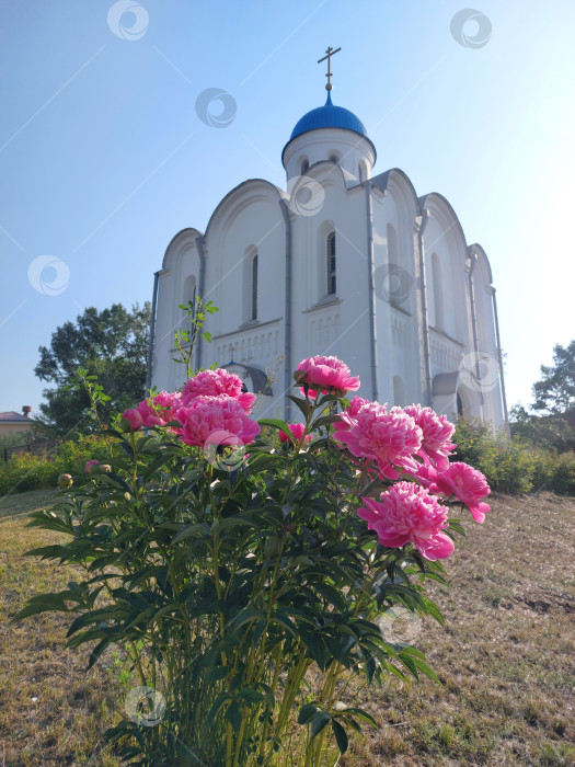 Скачать Церковь Рождества Христова фотосток Ozero
