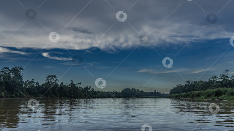 Скачать Спокойная тропическая река в джунглях. Раннее утро. фотосток Ozero