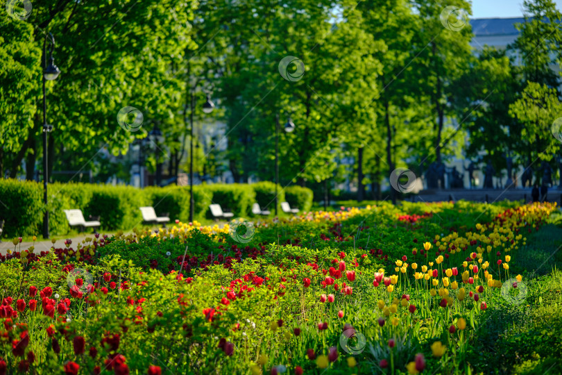 Скачать Москва. Весна на Болотной площади. фотосток Ozero