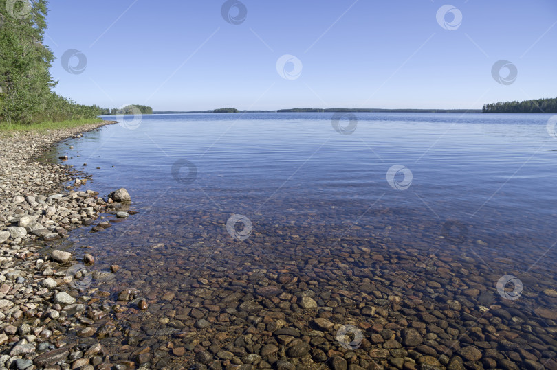 Скачать Тихое солнечное утро на берегу озера. фотосток Ozero
