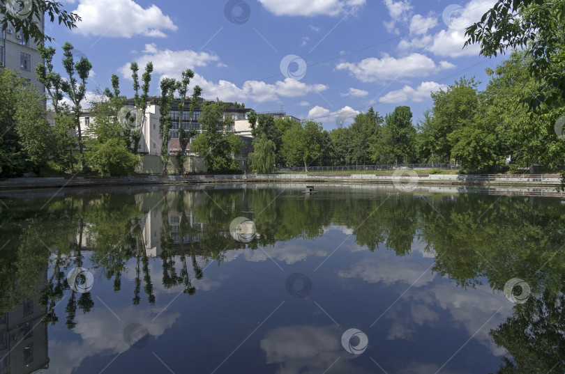 Скачать Городской пруд в солнечный летний день. фотосток Ozero