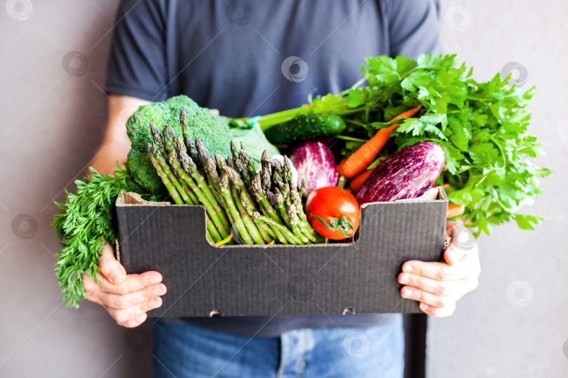 Скачать Доставка свежей органической зелени и овощей фотосток Ozero