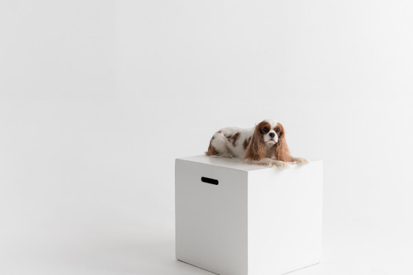 [object Object] undefined