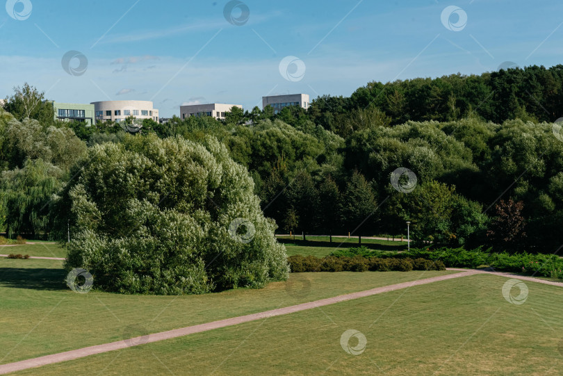 Скачать Городской парковый пейзаж с деревьями и дорожками. фотосток Ozero