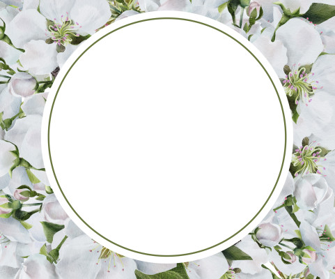 [object Object] undefined