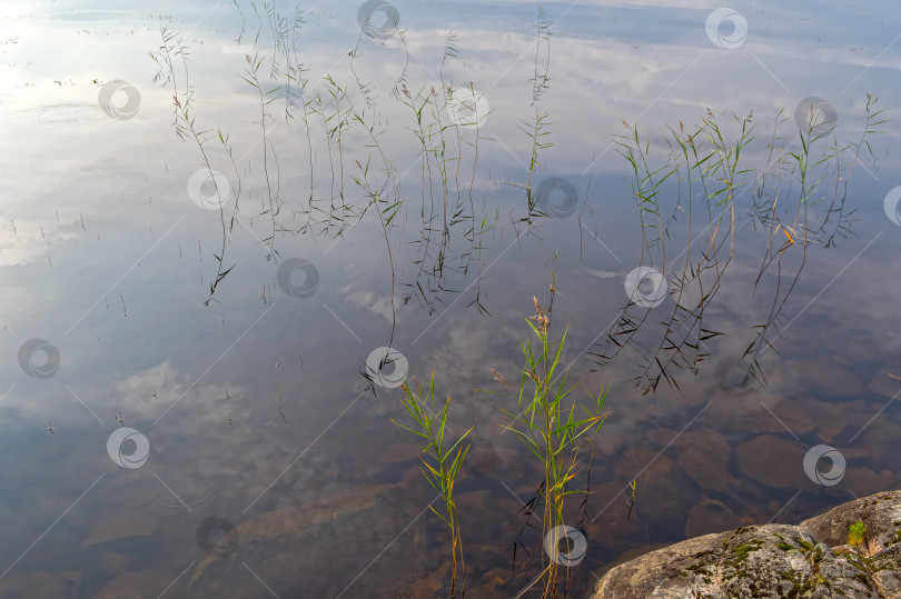 Скачать Отражение неба в водной глади фотосток Ozero
