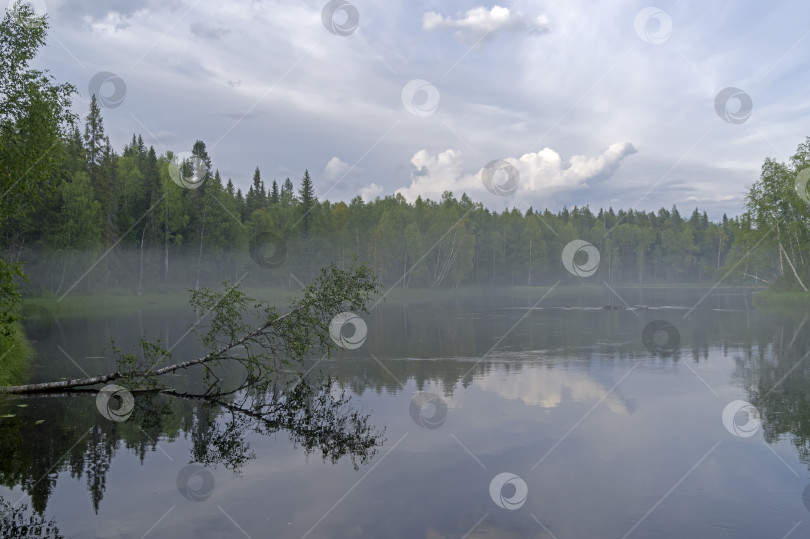 Скачать Легкая дымка над рекой. фотосток Ozero