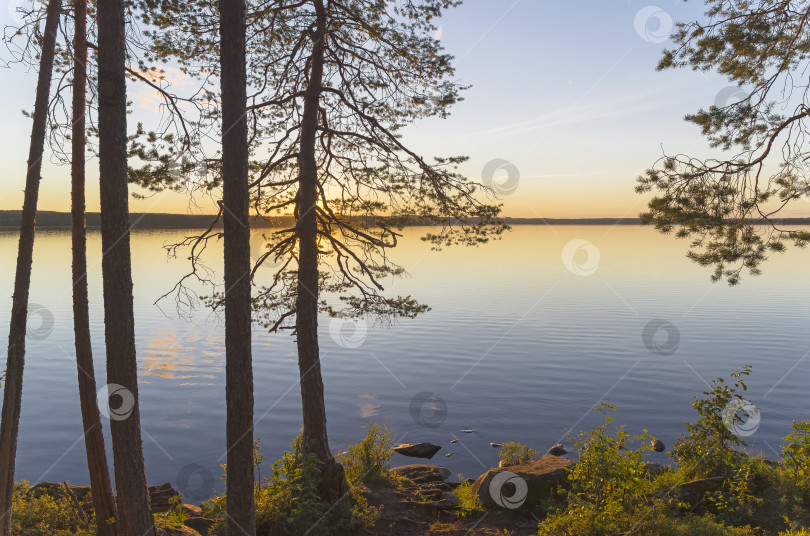 Скачать Тихий солнечный вечер на берегу озера. фотосток Ozero