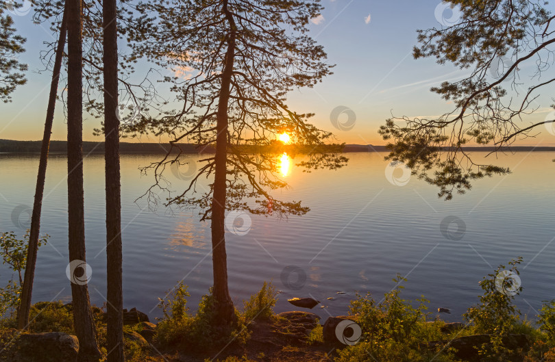 Скачать Тихий солнечный вечер на берегу озера. фотосток Ozero