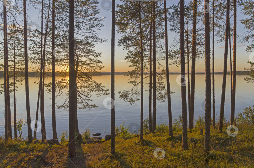 Скачать Тихий солнечный вечер на берегу озера. фотосток Ozero