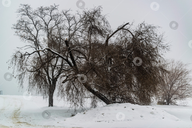 Скачать зимовка фотосток Ozero