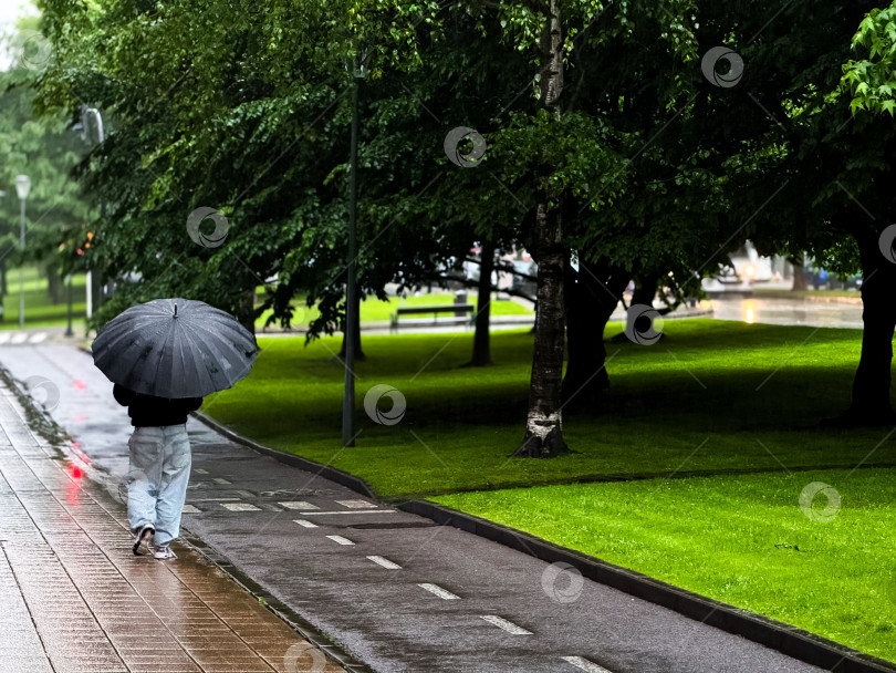Скачать Человек, прогуливающийся с зонтиком в дождливый день по парку фотосток Ozero