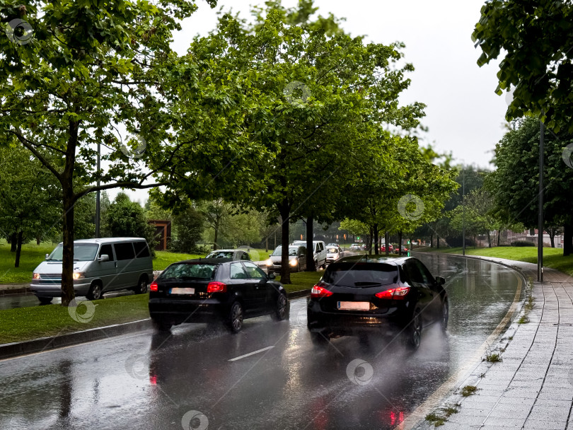 Скачать Движение в дождливый день на обсаженной деревьями городской дороге фотосток Ozero