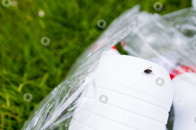 Скачать Муха на мусоре из пластиковых бутылок в траве подчеркивает загрязнение окружающей среды фотосток Ozero